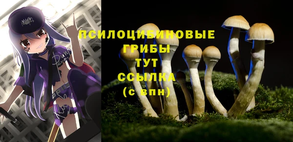гидра Аркадак