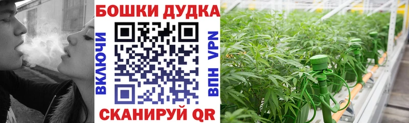 цены наркотик  Карталы  Шишки марихуана SATIVA & INDICA 